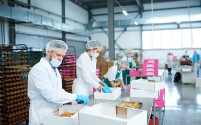 Exploring How PPE Enhances Food Service Safety